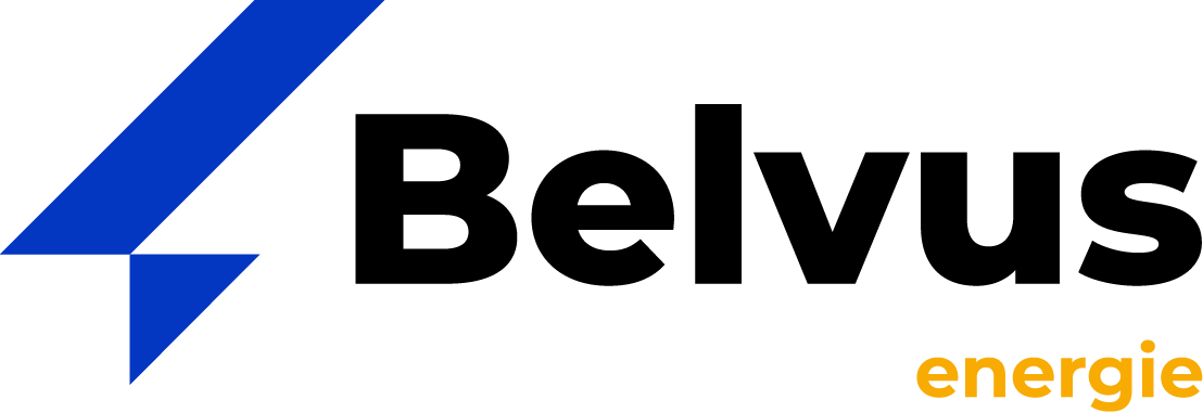 Logo Belvus