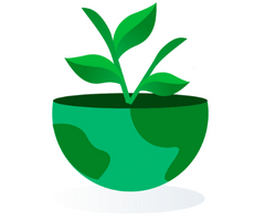 Groen plantje